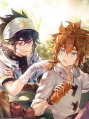 蘑菇tv网页版入口